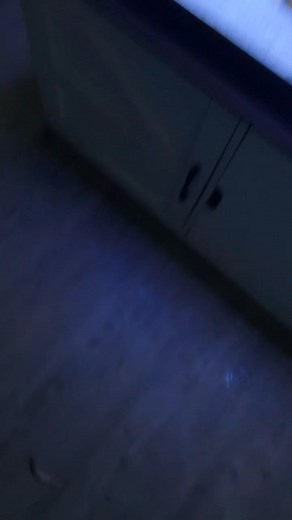 1.4K views · 4 comments | This is bullshit one of my diamond goby’s jumped out of my tank. I didn’t realize it. Now I only have one. 郎郎郎郎郎 all because I can’t set up my bigger tank because I have to wait four minutes until we move this tank is too small I’ve already lost five fish, including this one.  | William Baldwin | Facebook