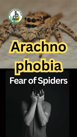 11- Arachnophobia : The fear of spiders