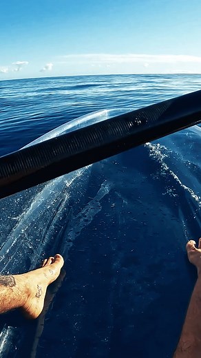 Exploring the Majestic Deep Blue | Brodie Moss