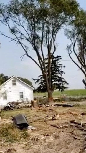 Certified Arborist on Instagram: "🏡"