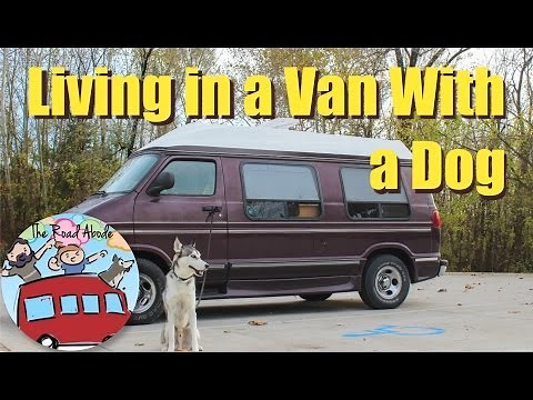 Van Life - Living in a Van With a Dog