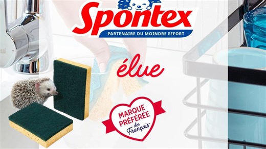 Spontex, de nouveau marque préférée des Français
