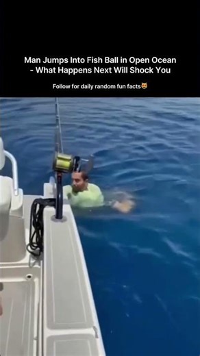 Man Jumps Into Fish Ball in Open Ocean - What Happens Next Will Shock You