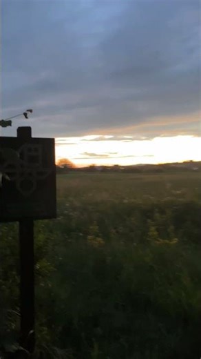 Beautiful Sunset