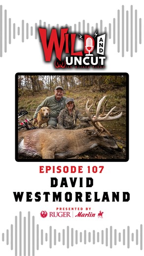 On this episode of Wild & Uncut, Kristy Titus and David Westmoreland sit down and talk all things whitetail from deer camp. Weather he likes it or not, David has been Kristy’s whitetail mentor and outfitter for the past 9 years. He is an incredibly accomplished hunter, competitive archer and owner of Prairieland Outfitters. To David’s credit, his whitetail collection is an absolute marvel and all have been taken with a bow. Together they touch on topics like CWD, hunting with crossbows and more.