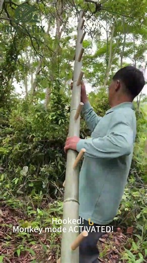 DIY Tree Ladder! 🪜 Is this genius or terrifying? 😂 #survivalhacks #DIY #woodworking