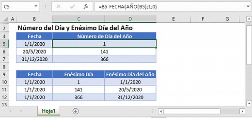 Número de Día del Año - Fórmula para Excel o Google Sheets