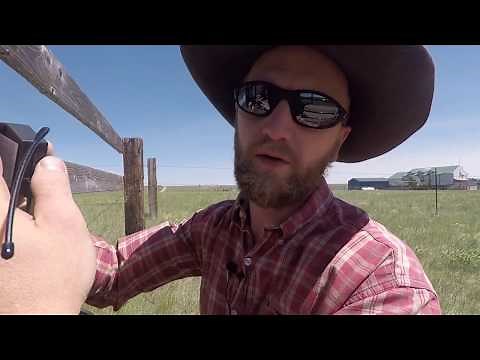 Fixing the Mighty Mule gate opener