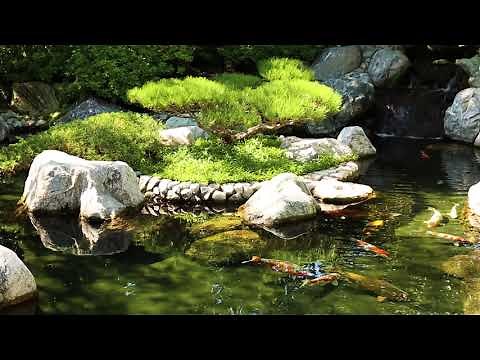 Relaxation - Sounds of Nature - Koi Pond and Waterfall - 2 Hours #relaxing #zen #nature