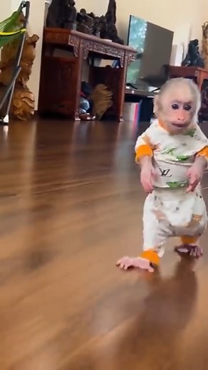 Lala couldn’t believe her eyes when she saw her brand-new swimming pool! Watch her reaction—it’s priceless! 💦 | Cheeky Lala