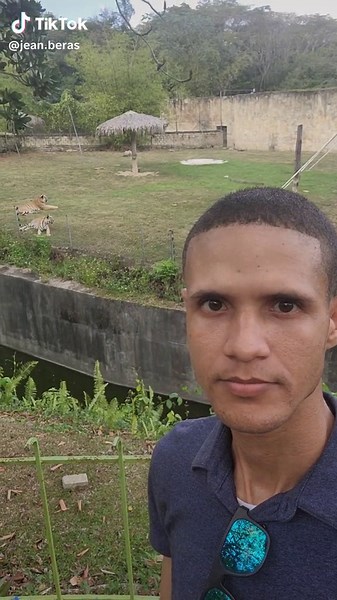 Visita al zoológico: Tigre de Bengala en República Dominicana