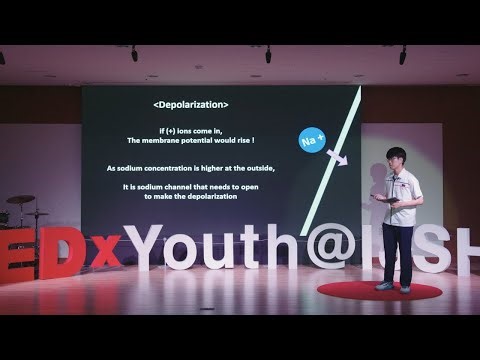 The Role of Questions in Learning and Life | Taehyun Joung | TEDxYouth@IJSHS