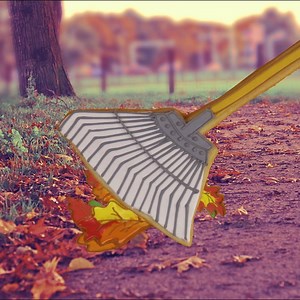 149K views · 1K reactions | Festive fall cookies from Baked Ideas! | HGTV | Facebook