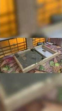 Watch This Miniature House #minibuild #asmrbuild #building #micr0struct