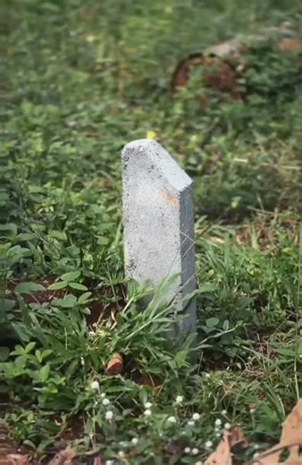 New Video Editing video 📷