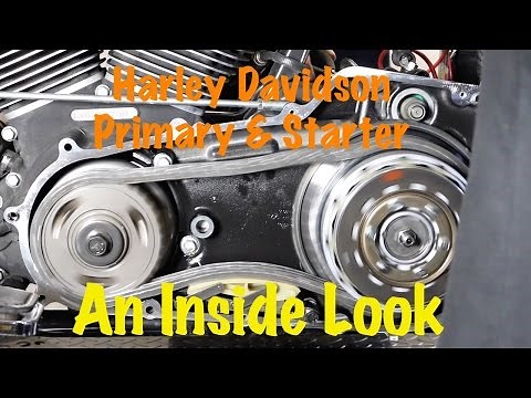Inside Look at Harley Primary & Starter Operation | Solenoid, Starter Clutch, Starter Ring Gear