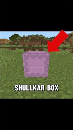 Creative Mode Ka Secret 😱 Honey Block Ke Alawa Ye Bhi Collect Hota Hai!