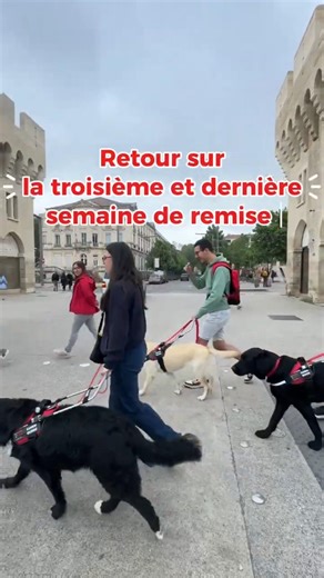 🎥 Troisième semaine pour la remise d'avril ! 🎬