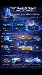 DHCP Server. Check the comments for more details👇👇👇 | Gate Corp.