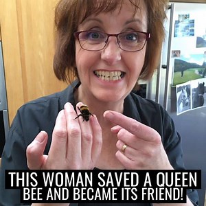Woman Rescues Wingless Bee, Becomes Best Friends