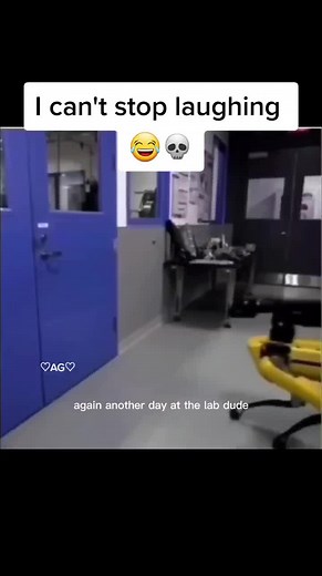 come on Carl 😂😂 #CapCut #meme #memes #voiceover #robot #retaliation #carl #funnyvideos #funnyvideo #funny #lol #😂 #robotdog #fail #fails #lab #memestiktok #foryou #foryoupage #foryoupageofficiall #foryoupage❤️❤️ #4u #4you #4upage #foru #foruyou #forupage #foruyoupage