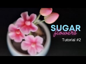 How to make sugar paste flowers to decorate a cake? Gumpaste flower tutorial #2