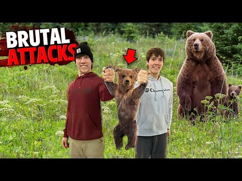 The Most BRUTAL Bear Attacks Marathon 2!