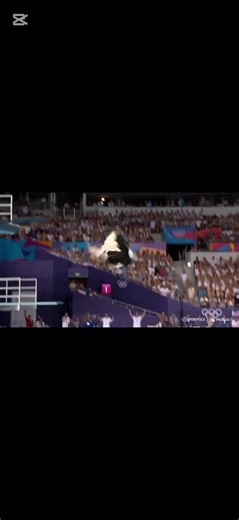 Cow Takes the Ultimate Pool Dive: Hilarious Moments!