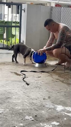 Manuel Jacob II on Reels