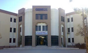 联合国学术影响可持续发展目标中心：目标8——体面工作和经济增长 | 联合国