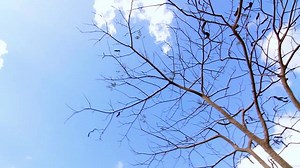 The Hinkleys: A Short Story About Homebirth