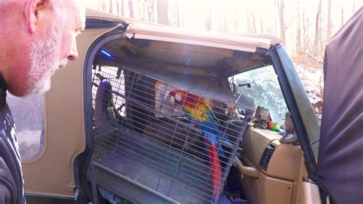 A Bloomingdale man is in the hospital tonight after repeatedly running into his burning home to save his animals. What he managed to rescue — and what he couldn’t — at 6. UPDATE: his other bird has been found alive according to family friends. | Alex Taylor - WTRF 7News