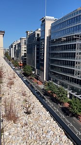 1.1K views · 44 reactions | 殺 Sometimes all we need is a little moment of peace and beauty. Thank goodness for a library with a free rooftop to enjoy it all! ☀️  | DC Public Library | Facebook