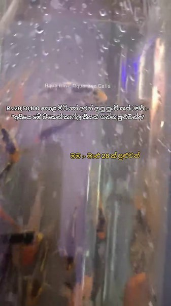කොල්ල කාලයක් තිස්සෙ එකතු කරගත්තු සල්ලි වෙන්න ඇති ❤️#viraltiktok #fyyyyyyyyyyyyyyyy #viral #creatorsearchinsights #viralvideo