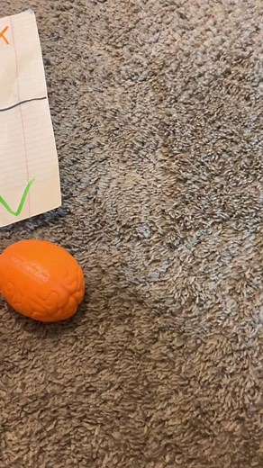 funnyfidget5287 on TikTok