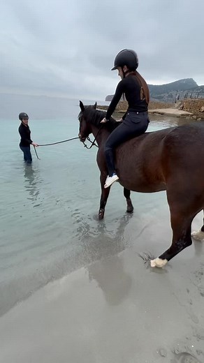 Tiktok no me lo elimines #foryou #parati #friends #horse #fails