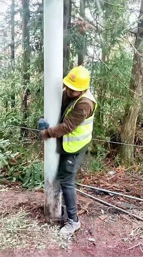 How to Safely Remove a Utility Pole? Step-by-Step Demonstration!