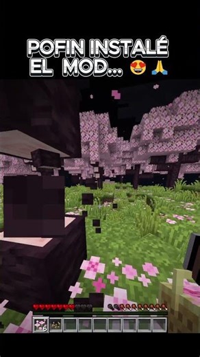 I finally installed the mod 😍🙏 - Minecraft