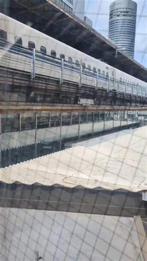 【JR新横浜駅で新幹線を見ながら】JR横浜線へ「狭さを感じるエスカレーター」JR東日本 JR東海 横浜観光横浜市港北区
