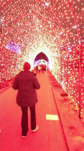 Denver Botanic Gardens Blossoms of Light tour Incredible holiday decorations.