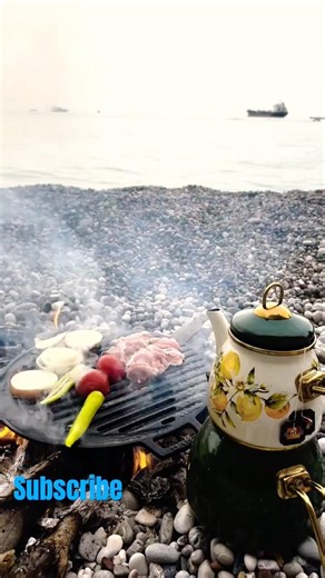 Camping ⛺️ on beach #birds #animals #nature #wildlife #camping #campfire #travel #campping