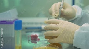 Food laboratory, meat processing plant.Test, quality check. sample of cell meat while working in modern laboratory. Genetic Modifications of Product.