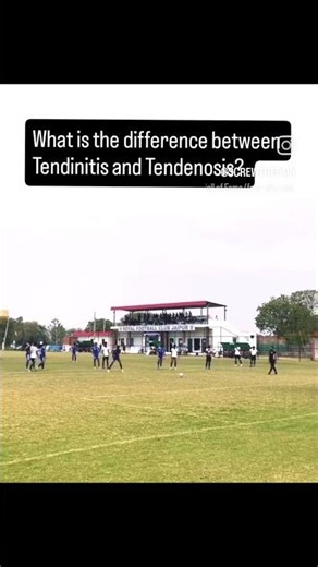 Stop Saying Tendinitis for Every Pain ❌ | Tendinosis vs Tendinitis Explained #physiotherapy #yt