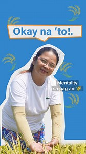 40K views · 193 reactions | Paano nga ba masasabing OKAY NA 'TO sa pag-ani ng palay? Maaari ng anihin ang palay kung: ✅85-90% ng butil ay hinog na (manual) ✅90-95% ng butil ay hinog na (mechanical) Now you know, ka-Palay! #RCEFSeedProgram #SupportOurRiCEFarmers | RCEF Seed Program | Facebook