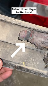 349K views · 822 reactions | #autonation#ratprotection#rat | Autonation car service | Facebook