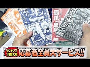 I applied for a big giveaway for all applicants! V Jump Dragon Ball