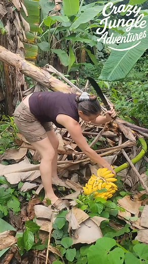 Jungle Banana Harvest → Instant Snack! 🍌🌴🔥 #JungleLife #BananaHarvest #OffGridLiving | Crazy jungle adventures
