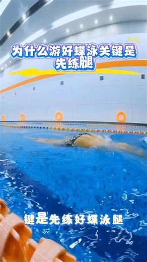 蝶泳游不動？因為你「手」用太多！❌ 其實關鍵在腿！#蝶泳教學#蝶式打腿#海豚腿