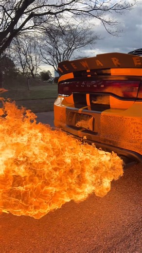 “KING of FLAMES” 2012 Dodge Charger SRT8 SuperBee on Instagram: "SRT8 Flamethrower 😈🐝🔥 #dodge #charger #srt #srt8 #superbee #mopar #hemi #v8 #392 #american #muclecar #horsepower #fyp #explore #reels #carsofinstagram #viral #1of1 #build #dodgefamilyy #v8hub #fire #exhaust #flames #flamethrower #trending #car #only #one #bee"