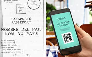 One hundred years of cattle-tagging